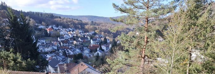 Attraktives Baugrundstück in unverbaubarer Südwestlage in Schriesheim-Altenbach