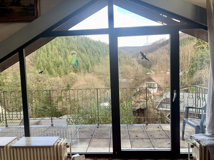 Exclusives Einfamilienhaus mit Einliegerwohnung in ruhiger Lage mit traumhafter Aussicht – Aussicht Galerie