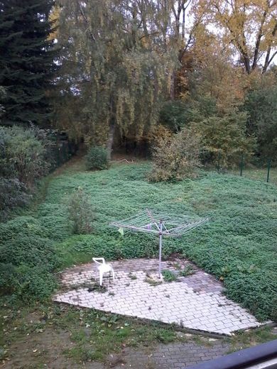 Dreisbach, Wohnhaus – Foto 4