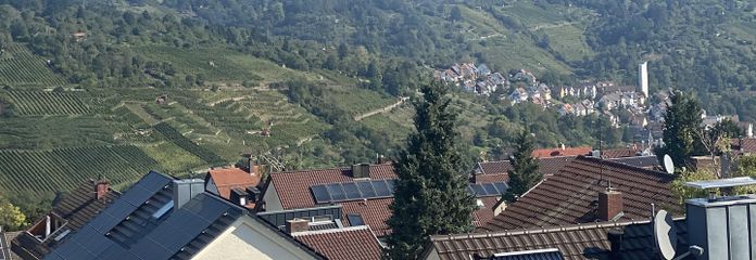 Fernblick