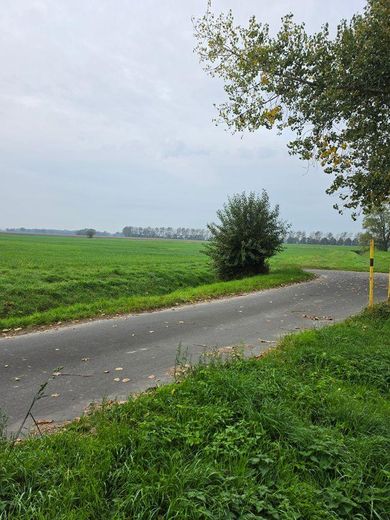1.298 m² Baugrundstück auf Rügen mit positiver Bauvoranfrage! – Blick zur Strasse