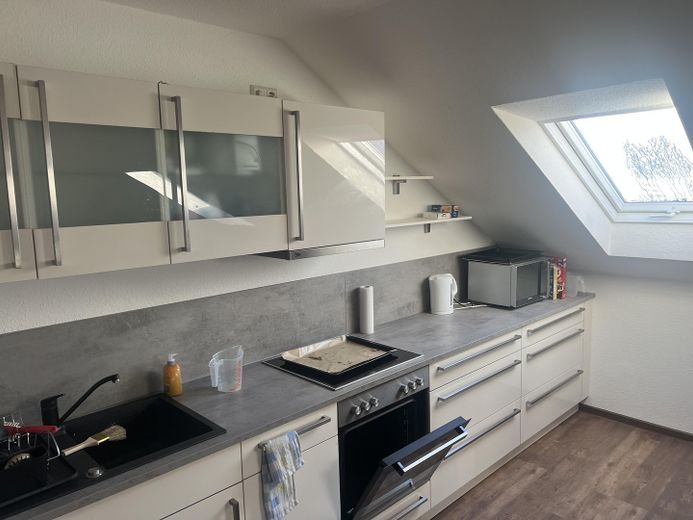 Einbauküche / Wohnbereich 