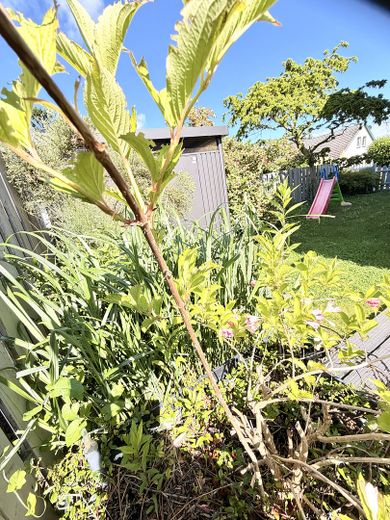 Strandnah und provisionsfrei, modernes Einfamilienhaus – Foto 17
