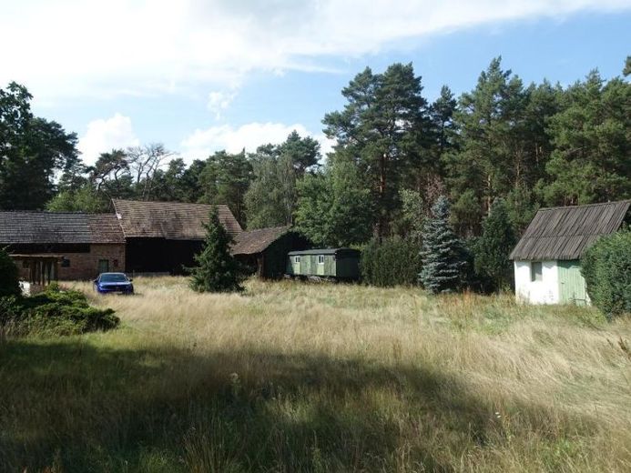 Baugrundstück am Waldrand – wenige Gehminuten zum Briesener See – Foto 1