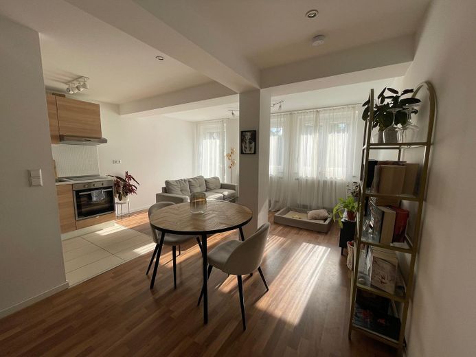 Zentrale Terrassenwohnung mit offenem Schnitt – Wohnbereich