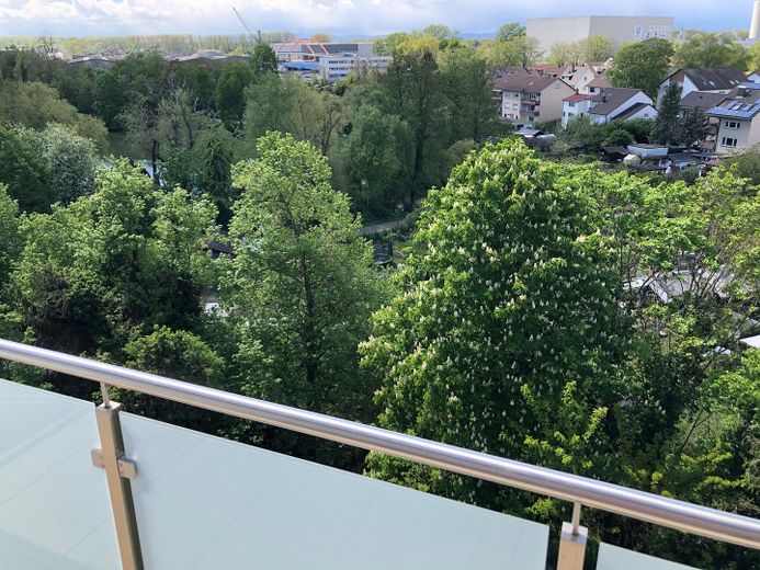 Blick auf Weiher im Frühling