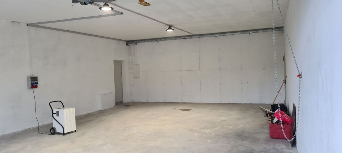 Halle Bild UG (4)