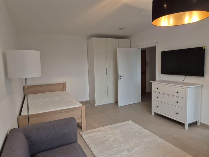 Moderne 1-Zi-Wohnung mit großzügiger Küche und Tiefgaragenplatz in LU a.R. – Wohnzimmer 2