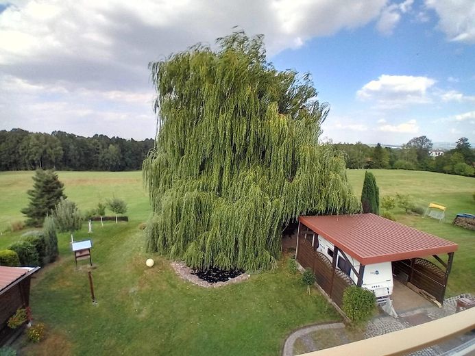 Blick v.Balkon in Garten
