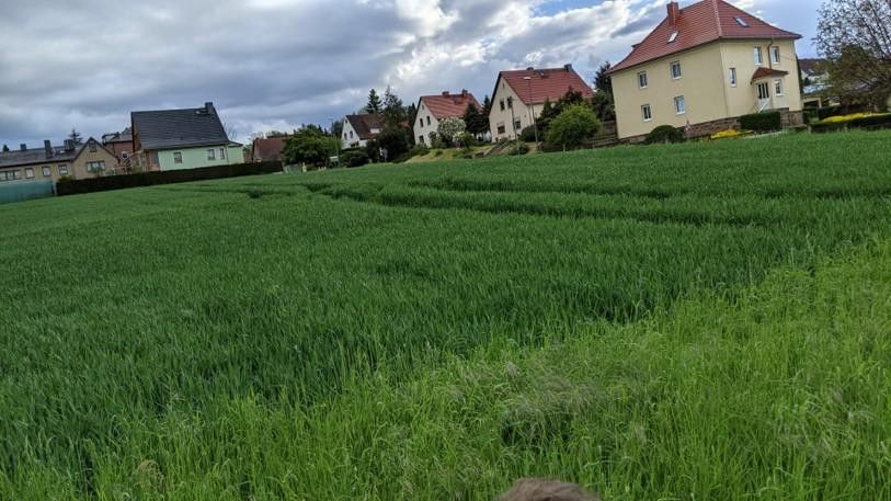 Blick von Grundstück aufs Feld