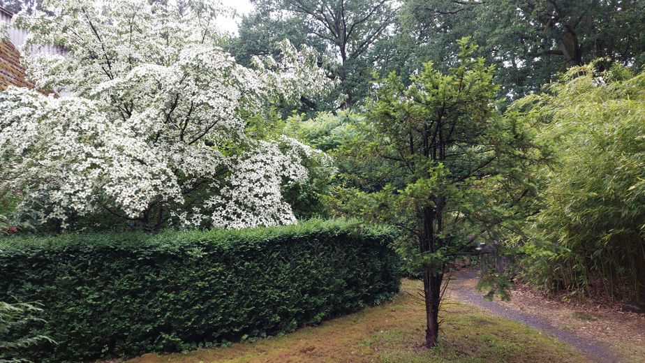 Zugang lks.zum Wohnungseingang