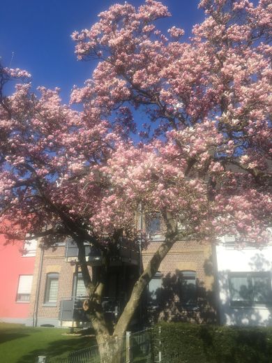 Front mit historischem Element