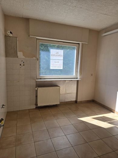 Detached two-family house in a quiet residential area in Heidelberg-Handschuhsheim – Photo 12