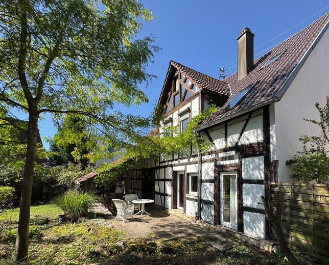 Rückseite mit Terrasse