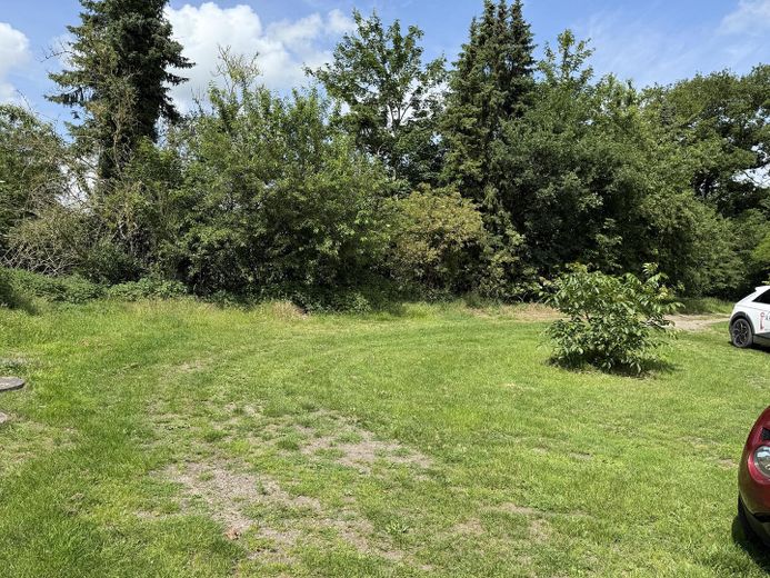 Garten/Auffahrt