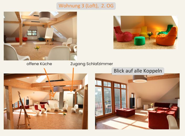Das lichtdurchflutete Loft