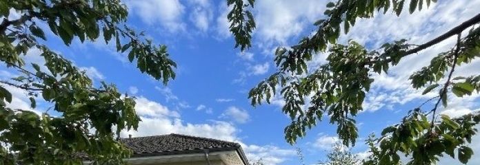IMMOBERLIN.DE - Wunderbarer Bungalow mit großem Sonnengarten in ländlicher Wohlfühllage