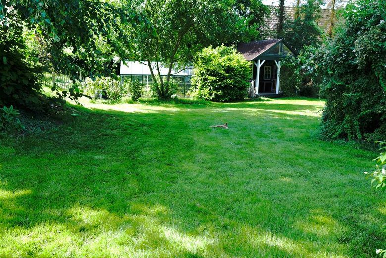 hinterer Gartenbereich