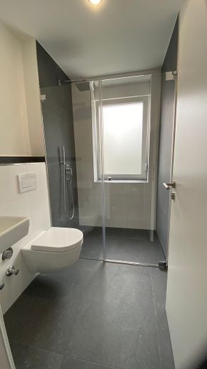 4-Zimmerwohnung in Traumlage mit Kachelofen, Balkon, Dachterrasse, Gästebad und Garage – Gästebad mit WC und Dusche