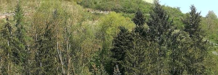 Ansicht Wochenendeplatz