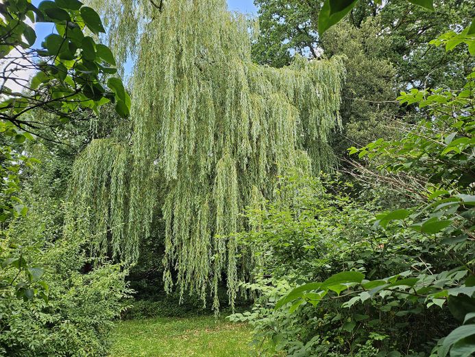 Bauernhaus mit bezauberndem Garten – Grundstück Ost