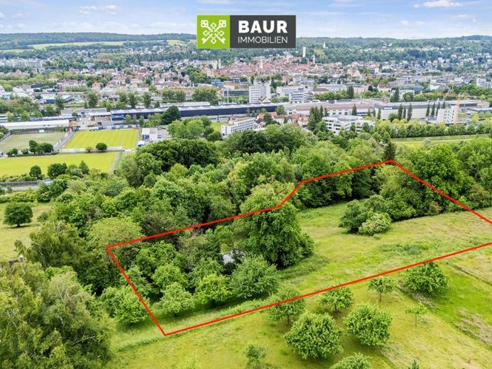 Freizeitgrundstück westlich von Ravensburg – Idyllische Grünfläche in leichter Hanglage – Foto 1
