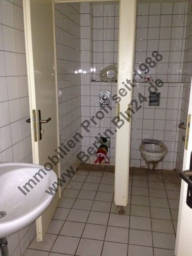 Foto11 5