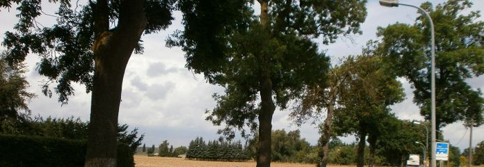 Strassenansicht