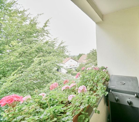Aussicht vom Balkon