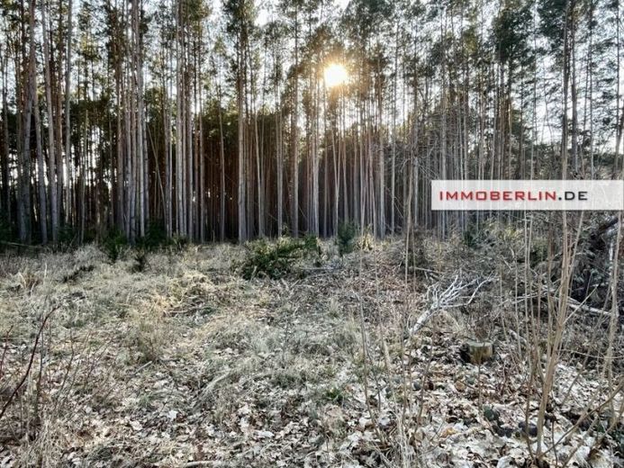 IMMOBERLIN.DE - Idyllisches Baugrundstück am Waldrand in naturschöner Region – Foto 1