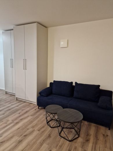 Möblierte Neubau Erdgeschosswohnung - inkl. Tiefgarage, Luxusausstattung, mit Garten – Foto 5