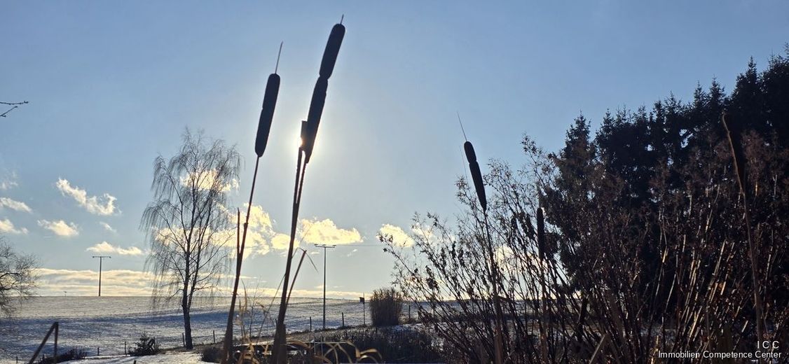 "Das Haus am See" - traumhafter Landsitz 
und Refugium eines namhaften Künstlers 
dessen Dreiseithof mit Weitblick - im Rottal – Besuch bei Johannes Hoffrohne am 4. Januar 2026