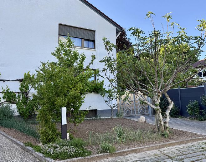 Außenansicht Vorgarten