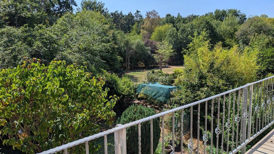 Sonnenverwöhnte 4-Zimmer Wohnung mit EBK am Waldrand von Dreieich-Dreieichenhain – Blick vom Balkon