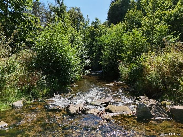 Campingplatz, Zimmervermietung und Gastronomie - gepflegte Familienexistenz in der Eifel – Fluss Oos
