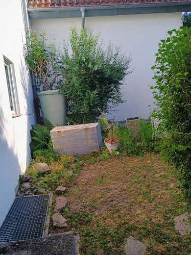 Sonnige 3-Zimmerwohnung mit Garten und Blick auf die Weinberge – Foto 12