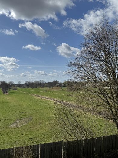 modernisiertes Ein-/Zweifamilienhaus mit Feldblick - PROVISIONSFREI – Ausblick Wohnzimmer OG