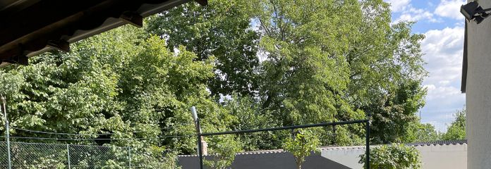 Außenansicht (Gartenseite)