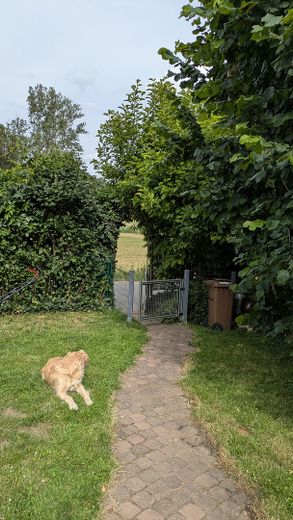 Gartenausgang  