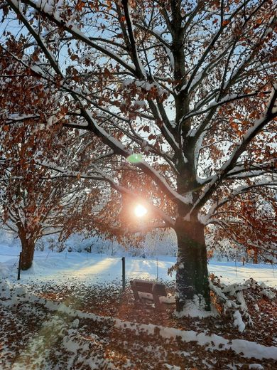 Sonnenuntergang - Winter