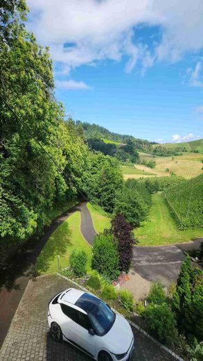 Attraktive Immobilie inmitten der Weinberge von Bottenau – Aussicht
