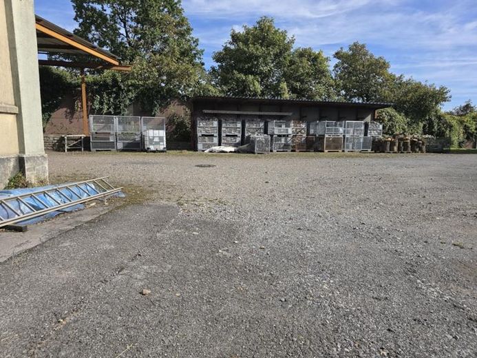 Gewerbe-/Lagerhalle | Kran | 400 V | LKW-Zufahrt | Nähe A1 – Foto 2