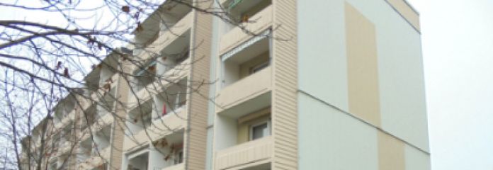 2-Zimmer Wohnung mit Einbauküche und Balkon in Mülsen