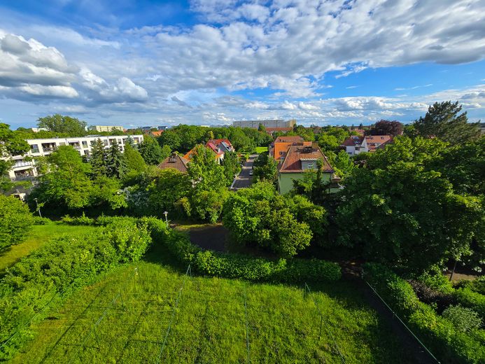 Blick in den Garten