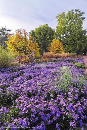 Bouqueterie im Stadtpark
