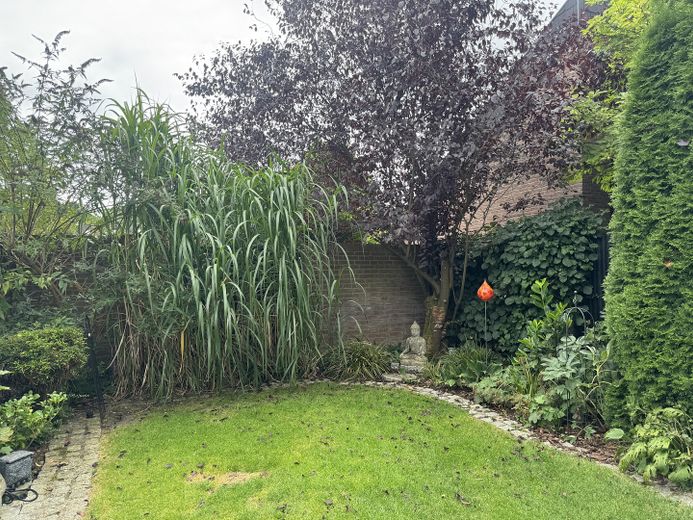 Garten blickgeschützt