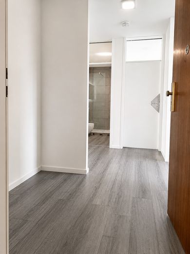 Bezugsfertig- Renoviert mit toller Aussicht-3,5 Zimmer – Eingang