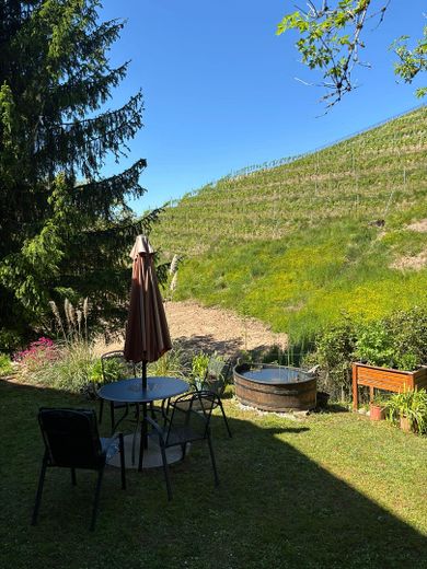 Attraktive Immobilie inmitten der Weinberge von Bottenau – Garten