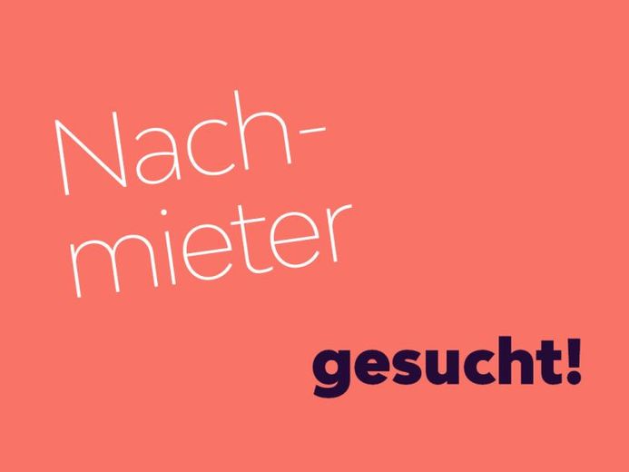 Tolle Altbauwohnung sucht tollen Nachmieter – Foto 1