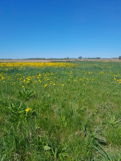 Gundstück Willerswalde
